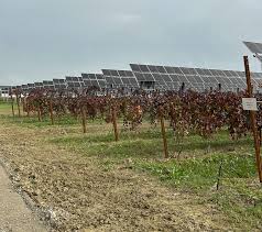 Agrivoltaico