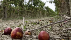 cambiamento climatico