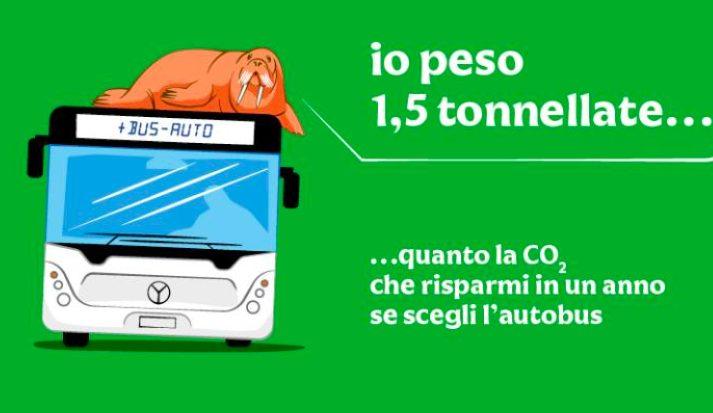 Ancora bus urbani diesel