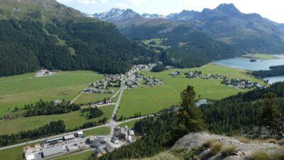 Sils