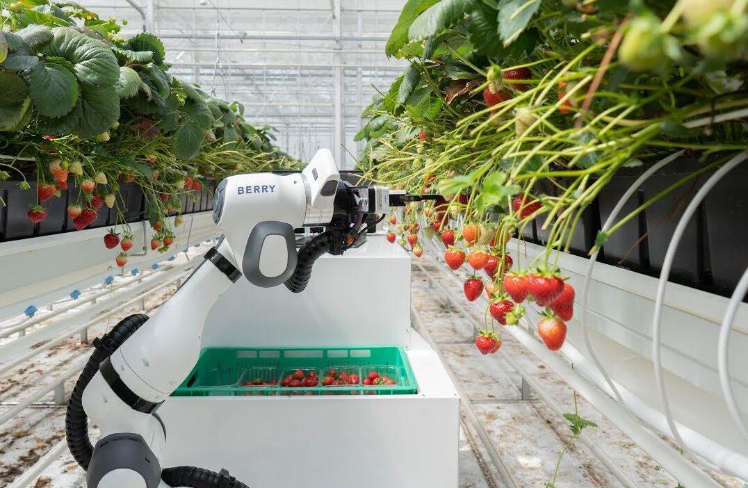 agricoltura elettrica