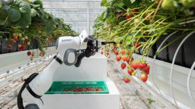 agricoltura elettrica