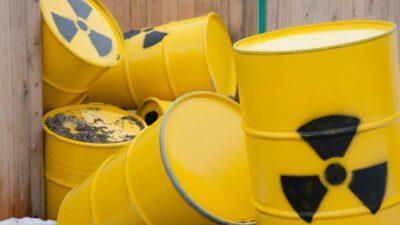 nucleare legge delega