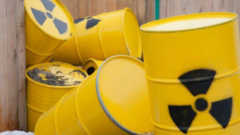 nucleare legge delega