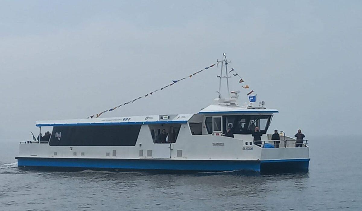 nautica elettrica
