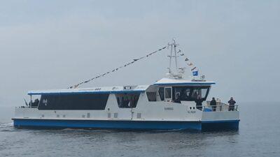 nautica elettrica
