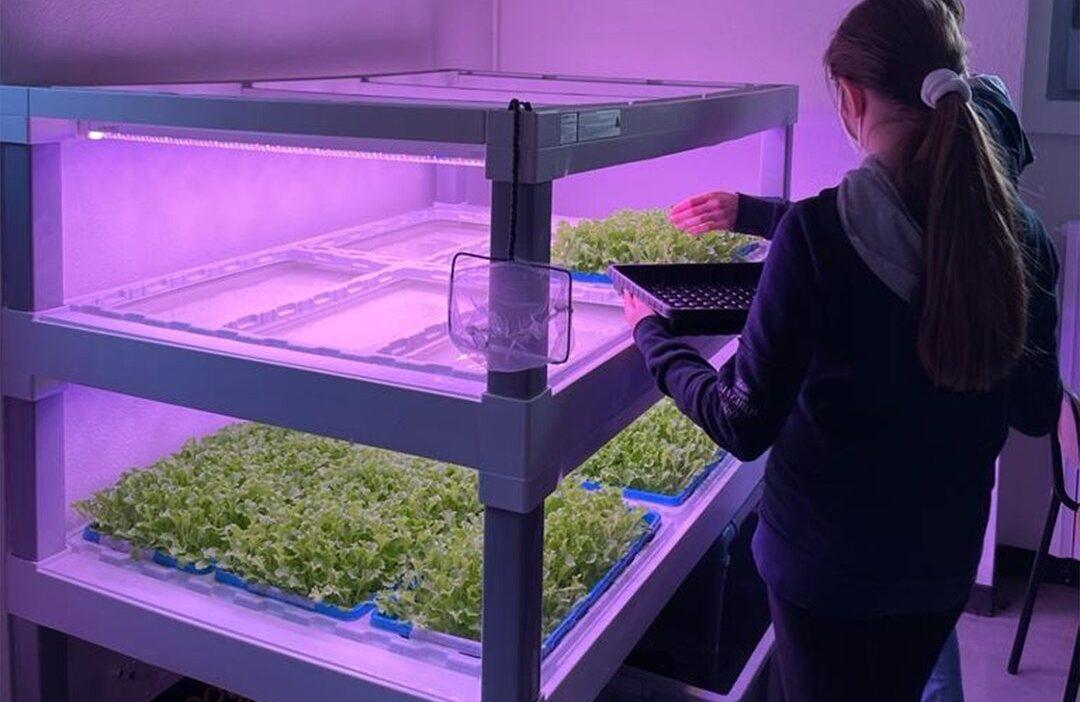 agricoltura robotica
