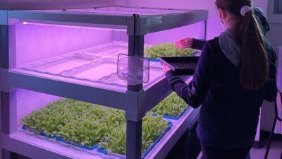 agricoltura robotica