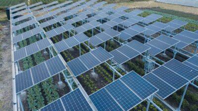 agrivoltaico
