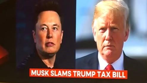 trump musk
