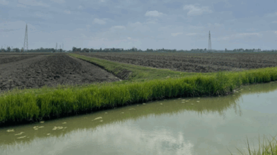 carpi agrivoltaico