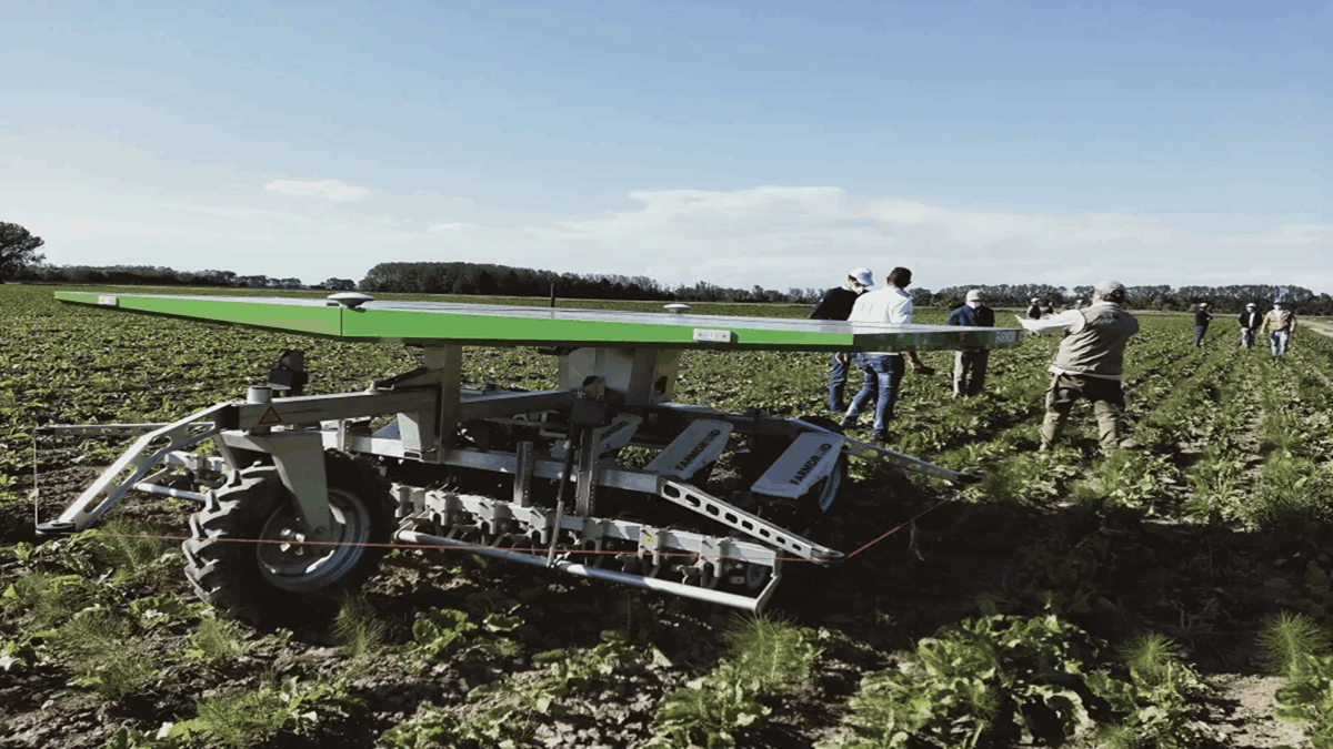 robot agricoltura