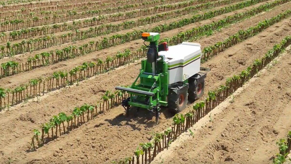 robot agricoli