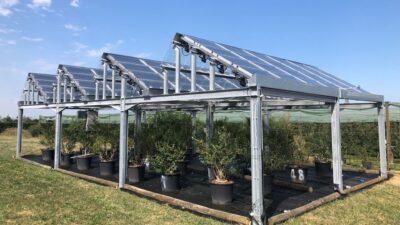 Agrivoltaico