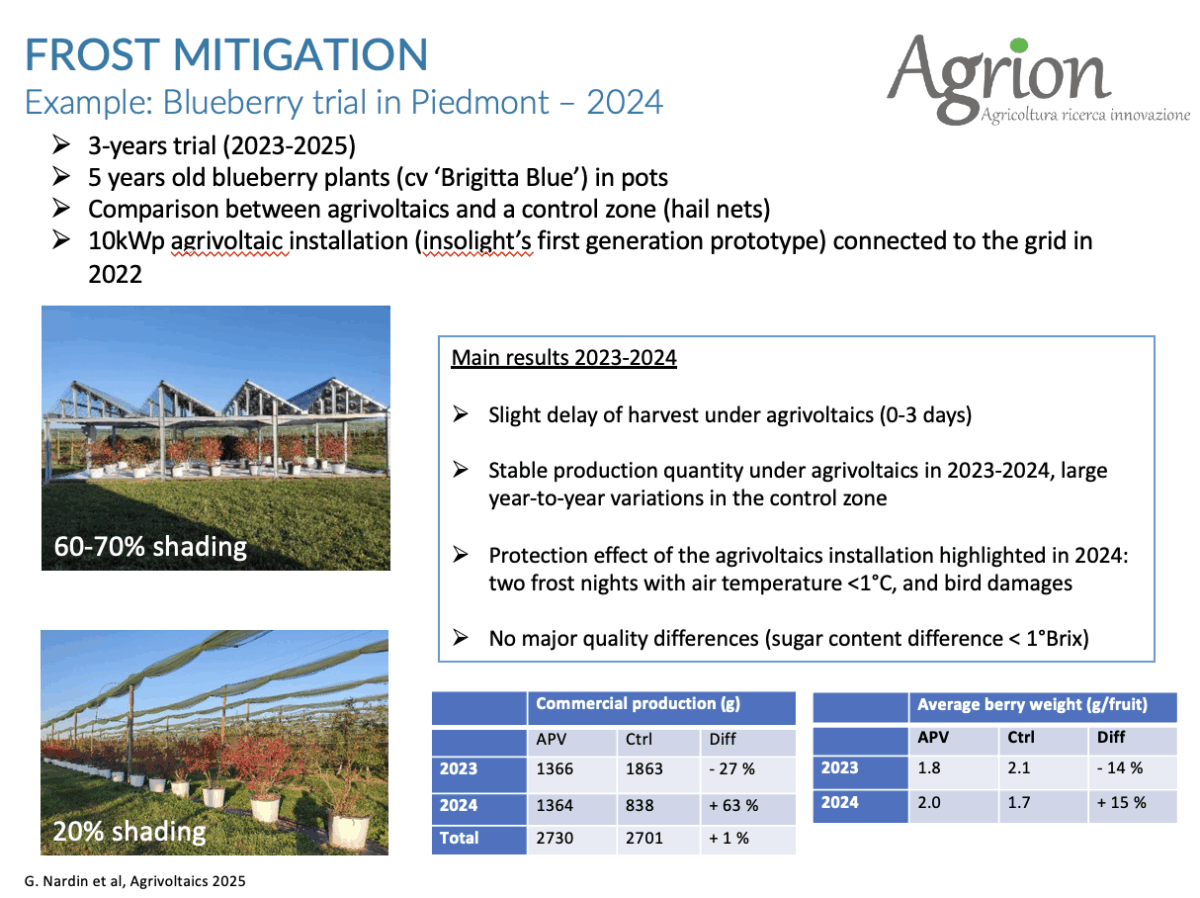 agrivoltaico