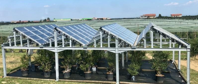 Agrivoltaico