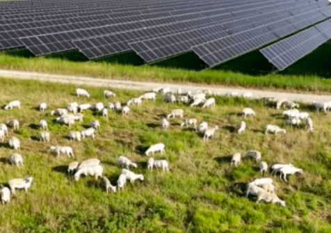 Solare Enel per Mars