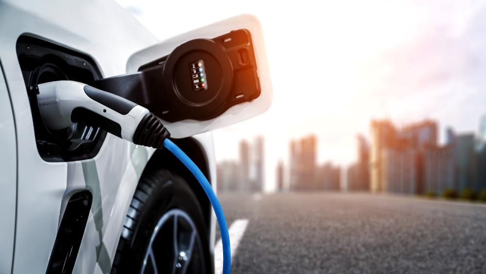 interscambio UE auto elettriche