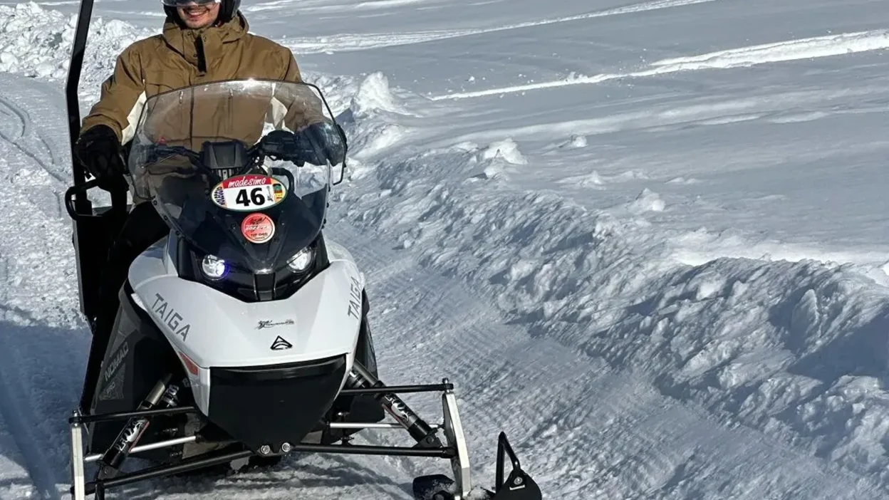 Motoslitta elettrica