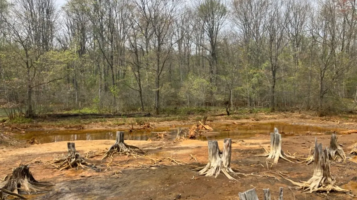 L'area degradata in Pennsylvania che diventerà una centrale solare miniera tossica centrale solare