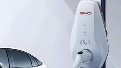 BYD condivisione ricarica