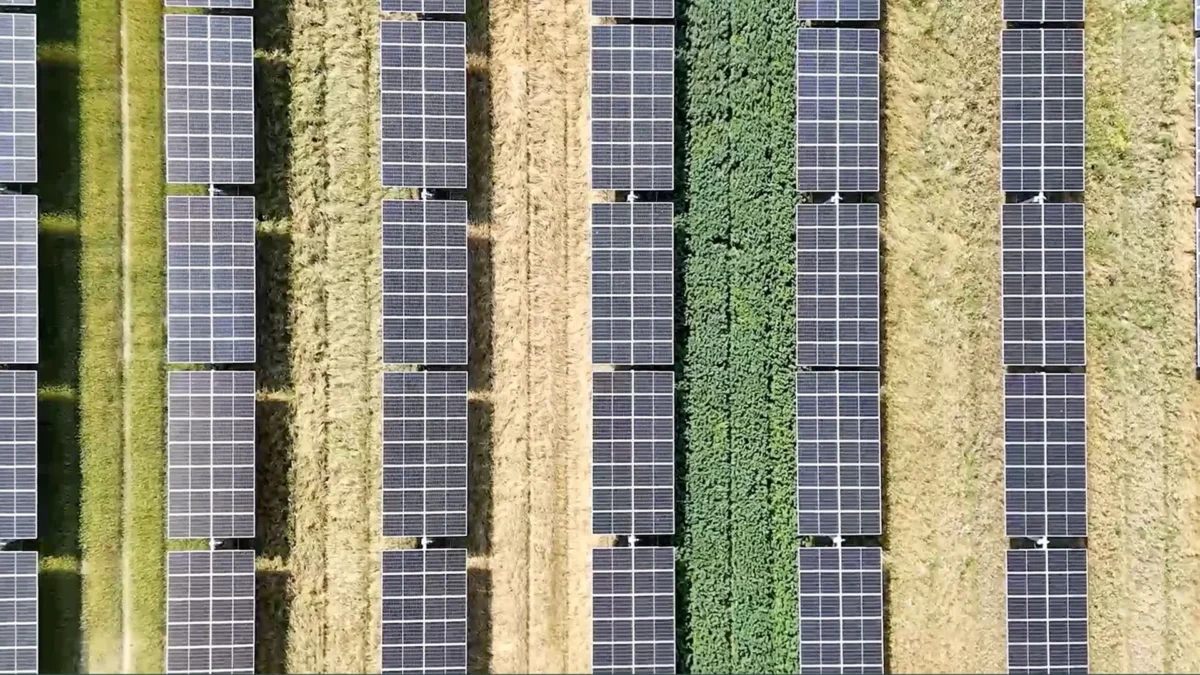 socilia Agrivoltaico