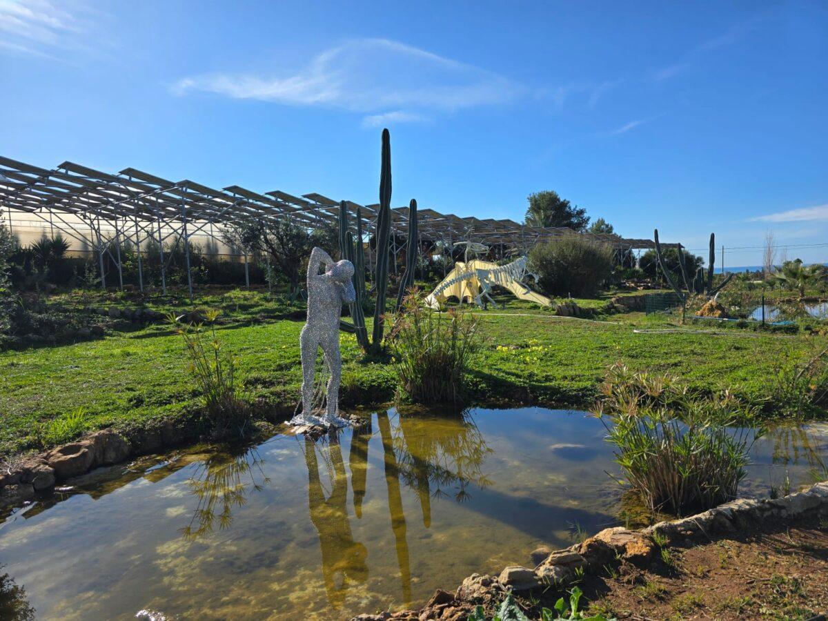 pomodori sotto i pannelli