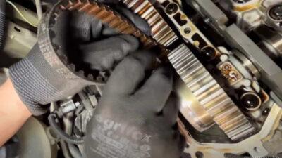 cinghia a bagno d'olio