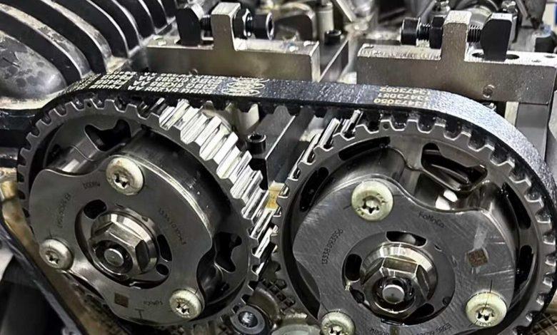 cinghia a bagno d'olio