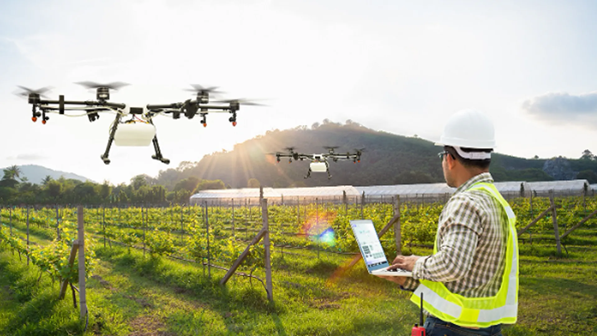 drone utilizzato in agricoltura