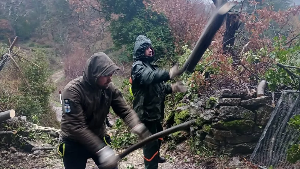 agenti forestali al lavoro dopo il ciclone harry in sardegna ciclone harry