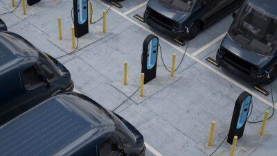 piccole flotte aziendali