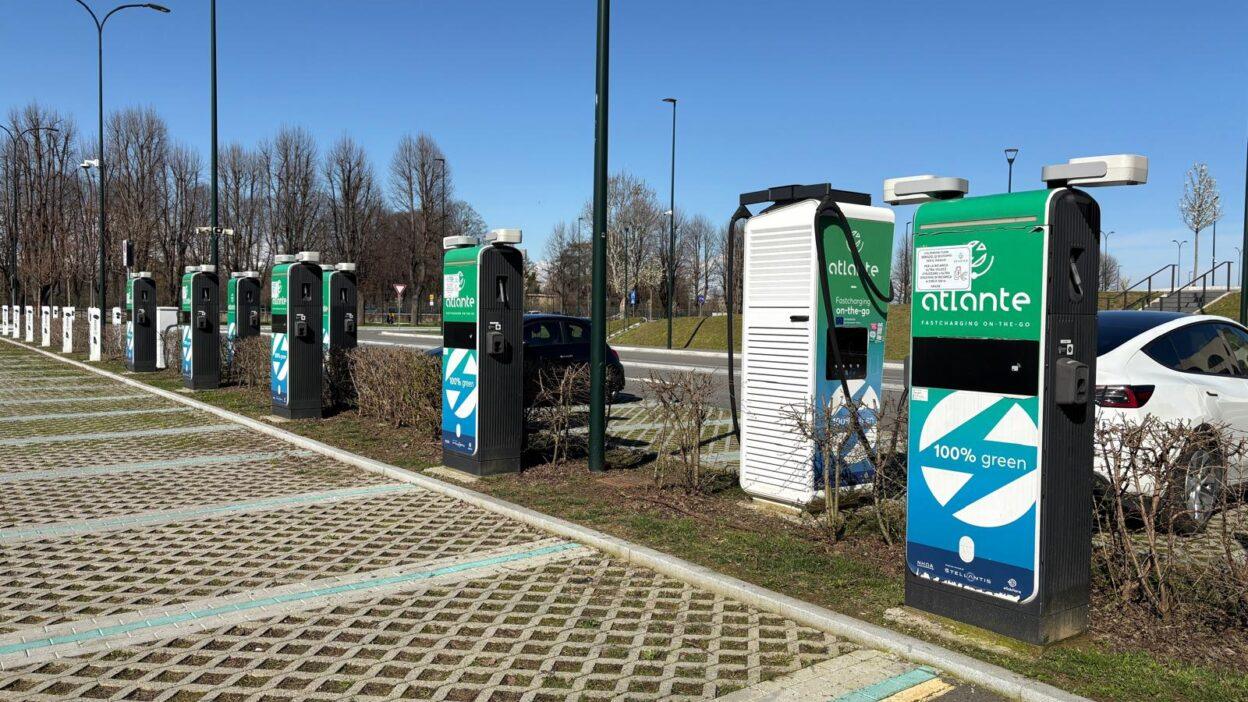 cavi tranciati Atlante