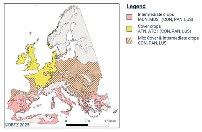 carbon neutral fuels