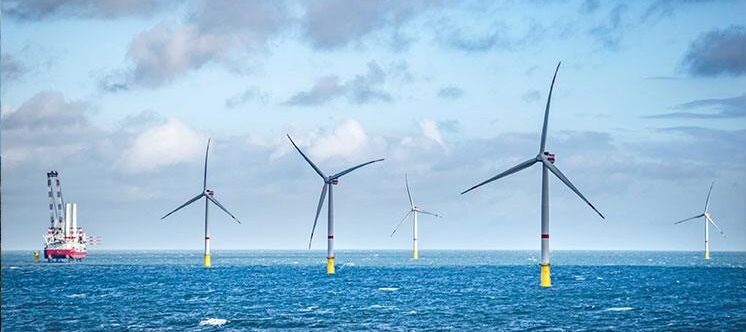 eolico offshore  Trump