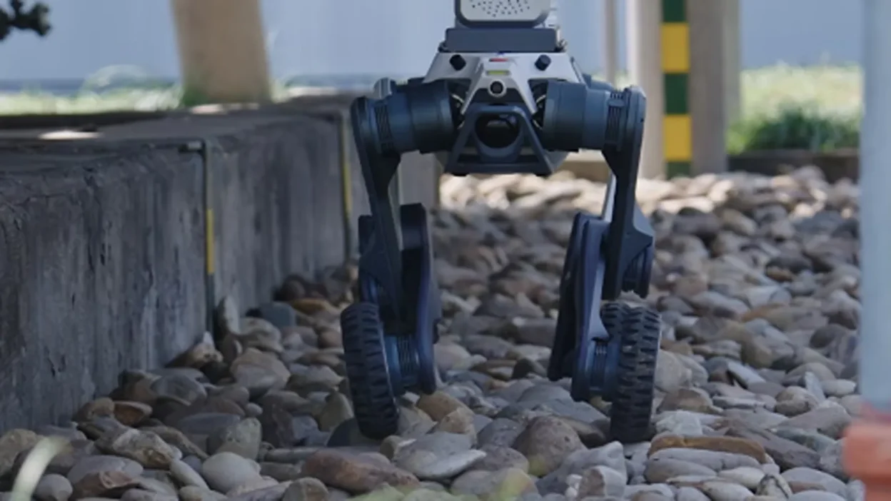 robot quadrupede