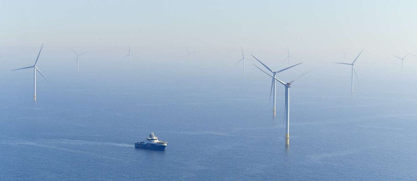 eolico offshore  Trump