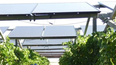 La vigna agrivoltaica dove si produce vino sotto i pannelli