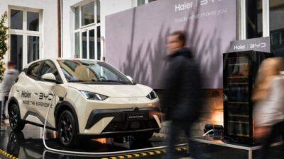 BYD sfotte gli sfottitori