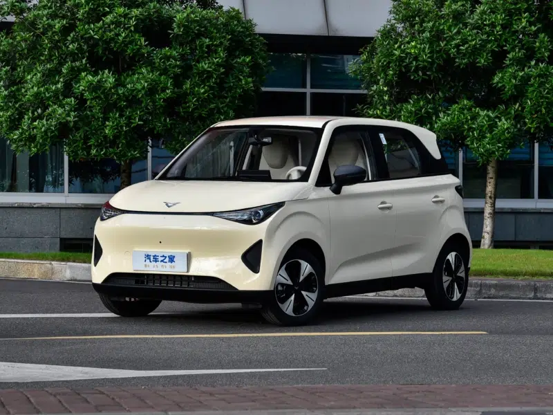 cina elettrica