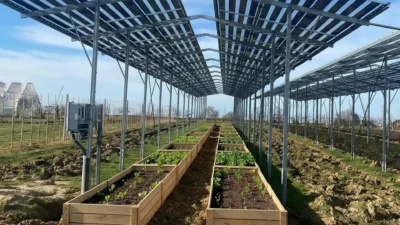 agrivoltaico per comunità energetiche