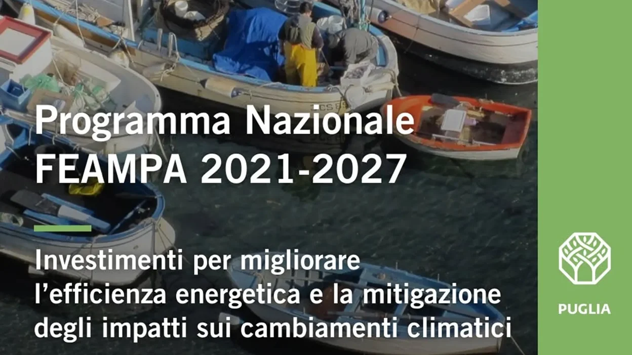 furgoni elettrici per la filiera ittica
