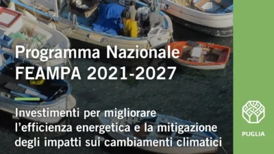 furgoni elettrici per la filiera ittica