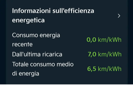 Prima vacanza in elettrico