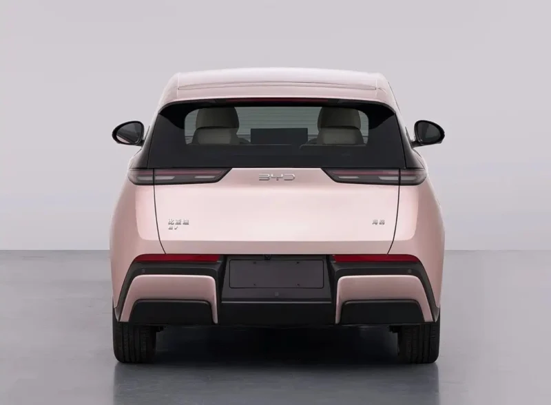 BYD Dolphin Surf