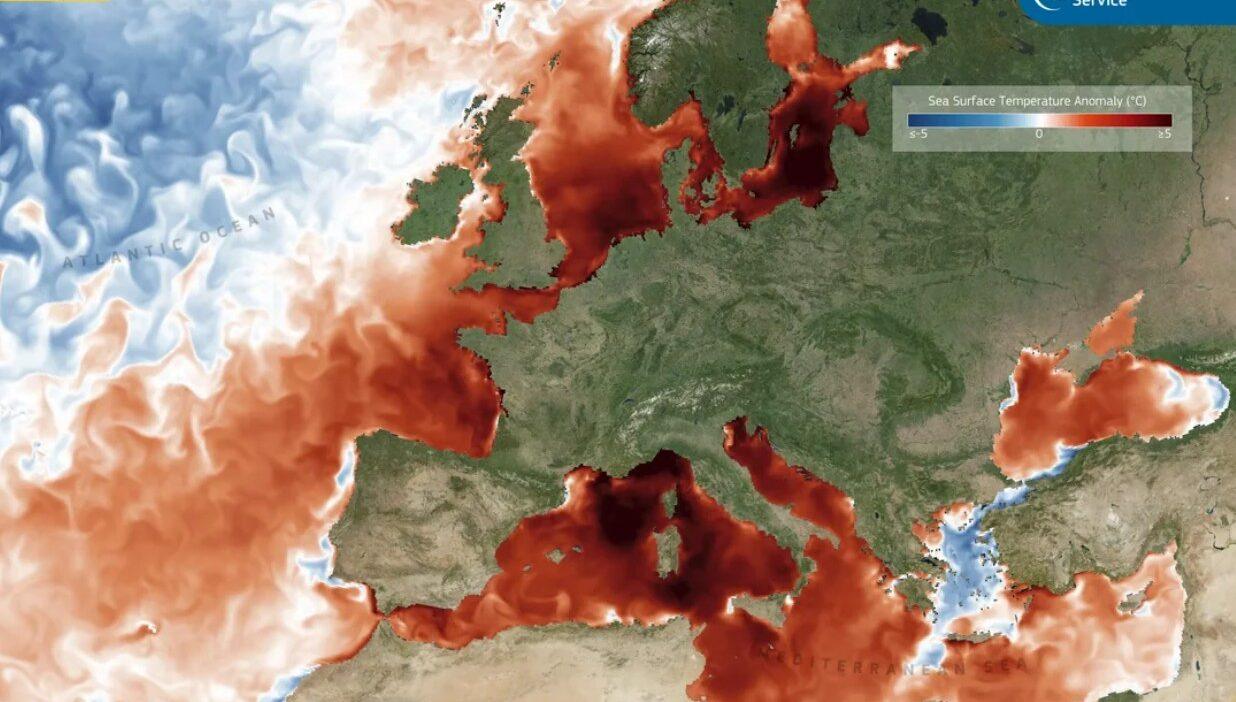 oceani caldi