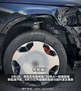Zeekr 9X incidente