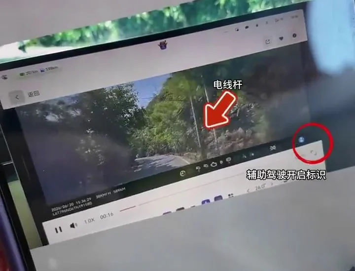 ll palo "incriminato" colto dalla telecamera di bordo ma non dal Lidar Zeekr 9X incidente
