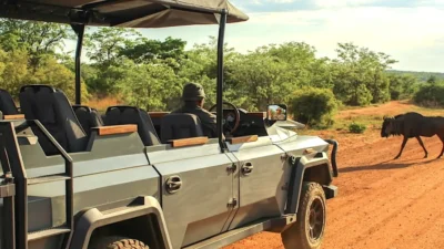 safari elettrico