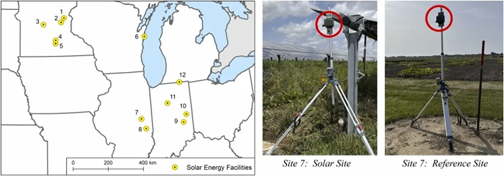 fotovoltaico sotto i pannelli c'è vita